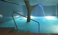 Wellness