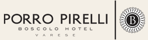 Porro Pirelli Hotel - Varese