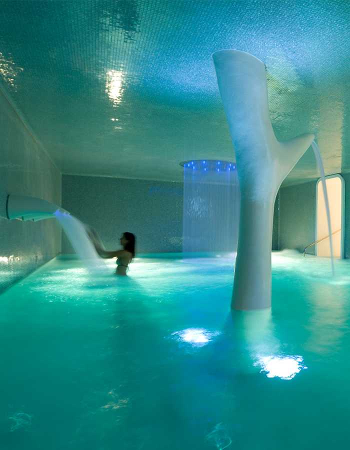 Wellness