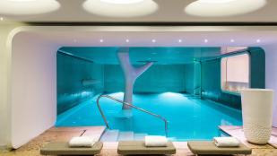 Wellness